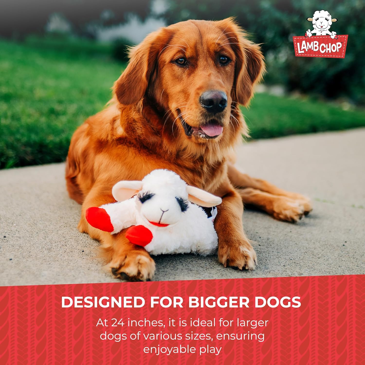 Lamb Chop Plush Dog Toy! (Donated Directly to Shelter)